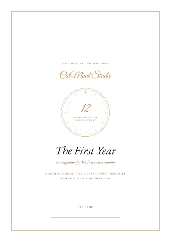 Cover: The First Year