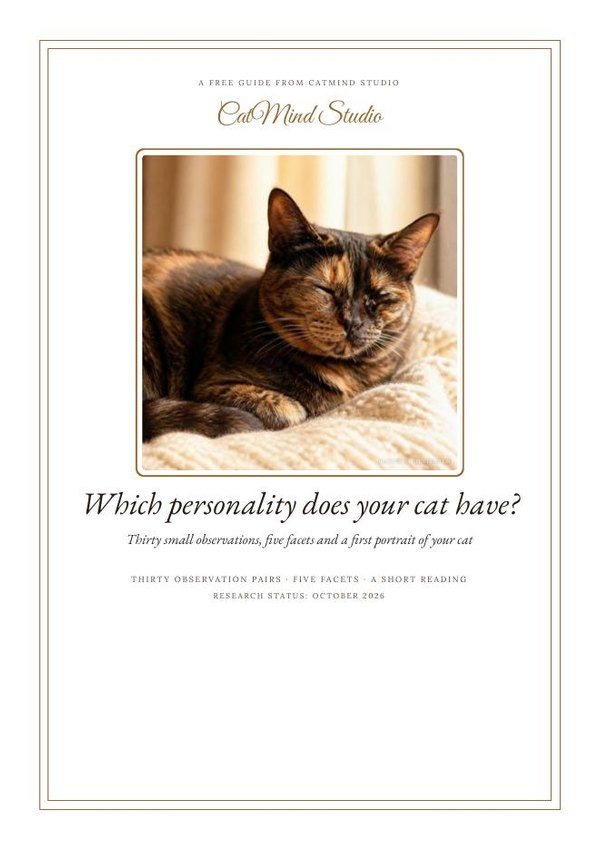 Cover: Which personality does your cat have?