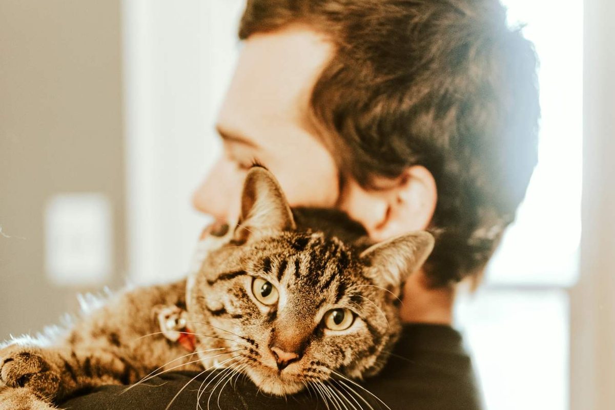 A man carries a tabby cat on his shoulder